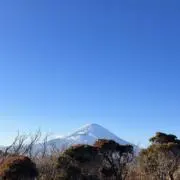 mogの画像