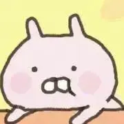 ちゃむの画像