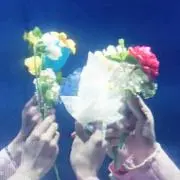 はるまきの画像