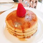 ねこだまり