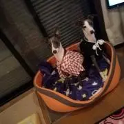姫と優太朗