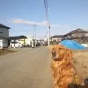 ★AK★の画像