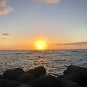 umiの画像