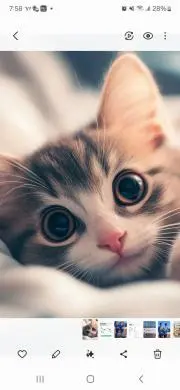 きなこの画像