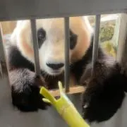 パンの画像