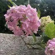 てぃころ