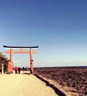 ゆめさちの画像