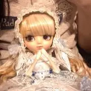 ぽちの画像