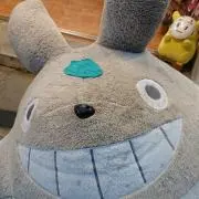めかむさの画像