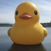ラバーダック