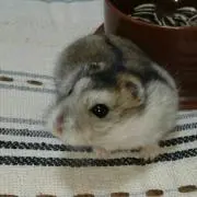baru～ん。