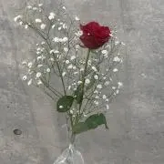 Nの画像