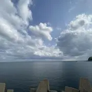 たくの画像