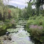 hakuraの画像