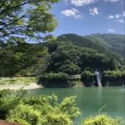森のクマさんの画像