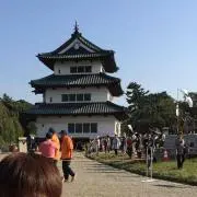 愚民