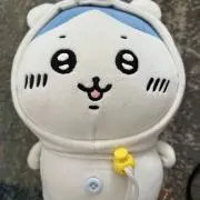 RF07の画像