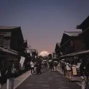 セトの画像