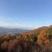 断捨離中　NYの画像