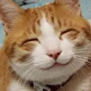やまひさ