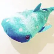 あや