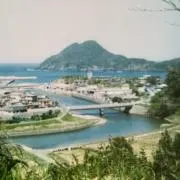 ようこの画像