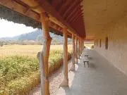 Shinの画像
