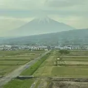 SMR