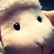 しーちゃん