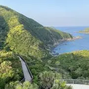 即購入OK セット値引き◯カテゴリ変更◯の画像