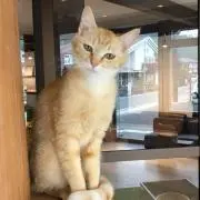 ちぃの画像