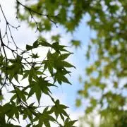 都宮の画像