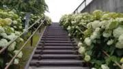 きゆちんの画像