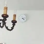 マツタケ