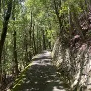 asahiの画像