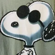 わや