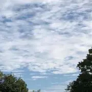 1157⭐︎の画像