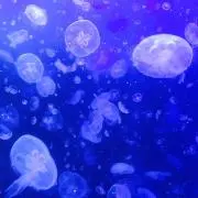 あーちゃんの画像