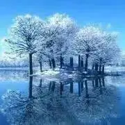 Image of ピーナツ