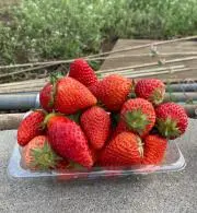 あーみの画像