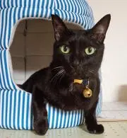 なる(即決ok♪)の画像