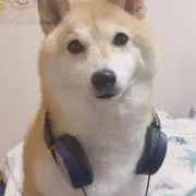 まるち