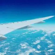 まの画像