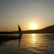 Teruの画像