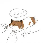 とと