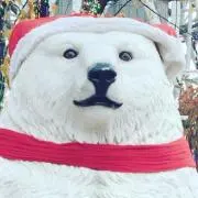 HACHIの画像