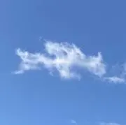 るるるんの画像