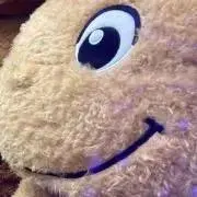 まりも
