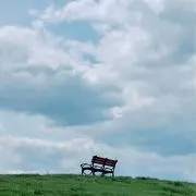 アジサイの画像