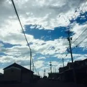 りとるの画像